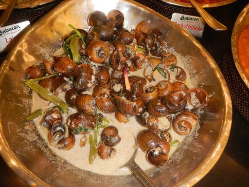 Snail in Creamy Coconut Sauce